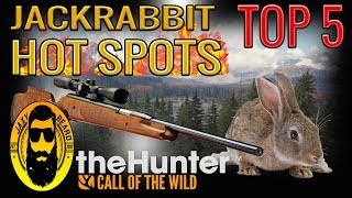 Top 5 Jackrabbit HOT SPOTS on Layton Lakes theHunter Call of the Wild [upl. by Sidoon]