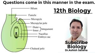 12th Biology OvuleThis type of questions come in your exam [upl. by Hyams]