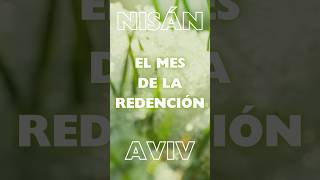 Significado de los meses hebreos El mes de Aviv  El mes de Nisán  El calendario bíblico hebreo [upl. by Ylehsa577]