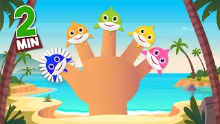 Finger Family  Popular Nursery Rhymes Kids Music Kindergarten Toddlers Preschool Songs [upl. by Llenrrad]