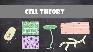 Cell Theory  Cell Biology [upl. by Krum]