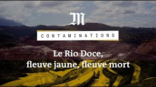 Contaminations  au Brésil la boue toxique a tué le Rio Doce [upl. by Ynnot]