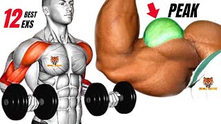 TOP 12 LONG HEAD BICEPS WORKOUT TO GET BIG PEAK AT GYM [upl. by Arimay]