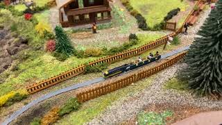 N GAUGE FLEISCHMANN GERMAN MODEL RAILWAY TRAIN SCENIC LAYOUT 4x2ft MULTIMAUS RUNNING SESSION [upl. by Nylad]