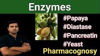 Enzymes Papaya Diastase Pancreatin Yeast [upl. by Otecina]