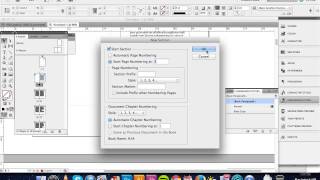 Indesign  Numbering amp Section Options [upl. by Ezarras488]