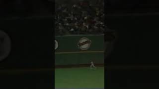 Steve Garvey Home Run [upl. by Eimaral]