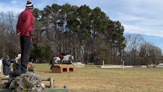 Boyd Martin clinic XC 112022 [upl. by Silverts648]