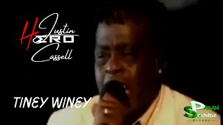 Hero  Tiney Winey Caribbean Calypso Monarch 2007 Antigua 2007 [upl. by Ardnuhsor]