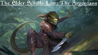 The Elder Scrolls Lore The Argonians [upl. by Howes643]