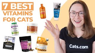 7 Best Vitamins and Supplements for Cats We Tried Them All [upl. by Hachman]