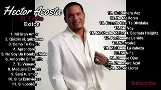 El torito Hector acosto 23 canciones de exito bachata mix [upl. by Corbie]