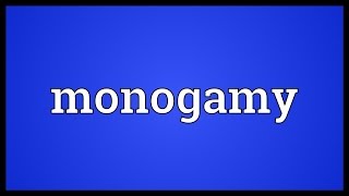 Monogamy Meaning [upl. by Rehpotsrik611]