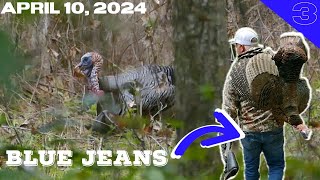 Turkey Hunting in BLUE JEANS   Fast Late Season Florida Hunt [upl. by Atihana]