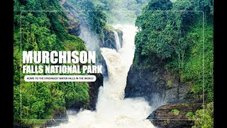 Murchison FallsUgandas largest national parkpowerful and strongest waterfalls in the world [upl. by Latrell]