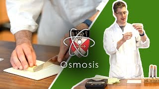 Osmosis  GCSE Science Required Practical [upl. by Bettye]