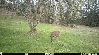 Pregnant mom enjoys old bread [upl. by Newberry]