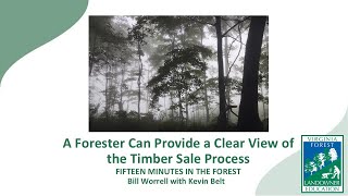 Fifteen Minutes in the Forest A Forester Can Provide a Clear View of Your Forest Part 2 [upl. by Anema]