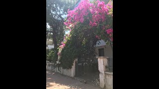 🏄‍♂️💒ALTINKUM MAHALLESİ 41 KİRALIK EŞYALI DUBLEKS DAİRE [upl. by Annerahs118]