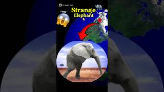 Strange Elephant 🤯🐘😱 on google earth and google maps 🌎 sygoogleearth shots [upl. by Brenk]