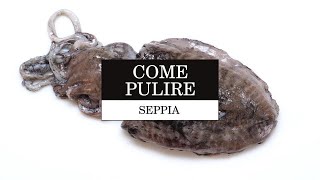 Come pulire la seppia  Le Tecniche  La Cucina Italiana [upl. by Harms]