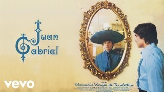 Juan Gabriel  Se Me Olvidó Otra Vez Cover Audio [upl. by Suirradal]