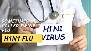 H1N1 flu swine flu [upl. by Auoh]