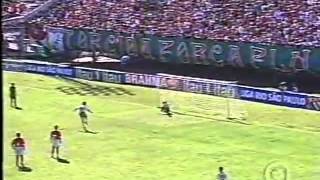 America RJ 0 x 8 Fluminense Torneio Rio So Paulo 2002wmv [upl. by Pogah]