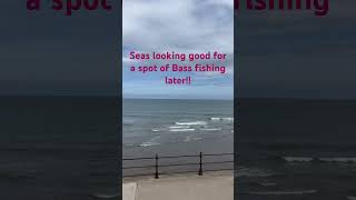 bassfishing seabass seafishing fishing [upl. by Nivrag]