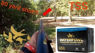 Apex waterfowl TSS pattern test with Muller Choke [upl. by Gnaw]