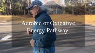 Preventing Type 2 Diabetes With Metabolic Conditioning Demystifying The Three Energy Pathways [upl. by Reivaxe]