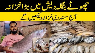 Musa Coloni Mini Bangladesh  Fish Market Tour  Fish rates increased before winter arrives 😷 [upl. by Yorled234]