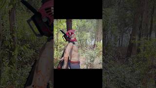 Pochita Chainsaw Man Vs Chucky IT pennywise Freddy Krueger pochita chainsawman 3dsingh [upl. by Marcella]