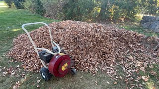 Giant Vac Leaf Blowers 2024 Leaf Season Part 1 [upl. by Okime]