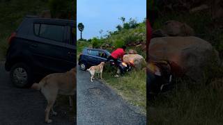 40K❤️Subscriber😂🤣Kandipa twist iruku😂watch till end labrador doglover goldenretriever puppy [upl. by Ayahsey]