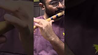 Mandram Vantha  Flute Cover  Ilayaraja [upl. by Itsyrc]