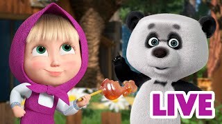 ماشا والدب 👱‍♀️ LIVE STREAM 🙅‍♀️😲 لم أكن أنا 🙅‍♀️😲 Masha and the Bear [upl. by Gierc]