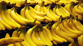 Today Banana prices in fruit Markets fruit [upl. by Notsirhc]