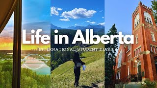 Life in Alberta  International Student Diaries  summer days road trips festivals  Canada Vlog [upl. by Anirda267]