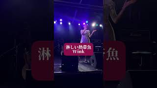 淋しい熱帯魚  Wink【歌ってみた】 cover [upl. by Llenna137]