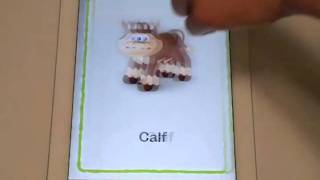 Cute Baby Flash Cards iPhone iPad app review by Jordan Maesm4v [upl. by Somar]