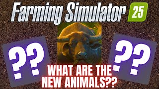 WHAT ARE THE NEW ANIMALS GOING TO BE  Farming Simulator 25 [upl. by Elbon]