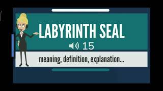 Labyrinth seal [upl. by Ecerahs]