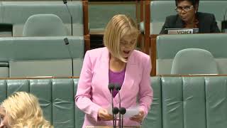 NBN Public Ownership debate  House of Reps  18th Nov 2024 [upl. by Akisej]