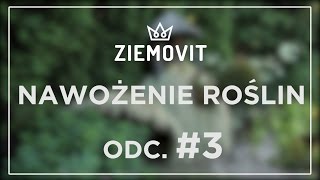 Nawożenie roślin  Niech żyje ogród Odcinek 3 [upl. by Otrebor109]