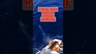 Strike Ikan Marlin Teknik Handline mancingmaniamantap fishing fishingmania mancing fyp [upl. by Aisan]