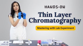 Mastering Thin Layer Chromatography Technique  TLC HandsOn Lab Experiment [upl. by Augustus]