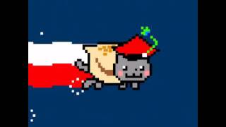 Polish Nyan Cat with Ruskie Pierogi Or rather one giant pierog [upl. by Devy]