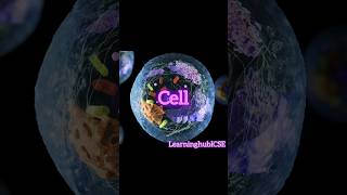 cell  cell structure and function  cell division [upl. by Una]