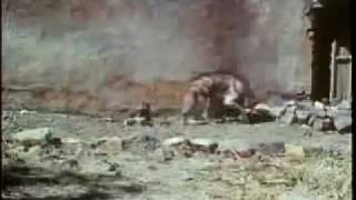 Leopardess vs female hyena Leopardess defeat hyena twice her size [upl. by Eenttirb]